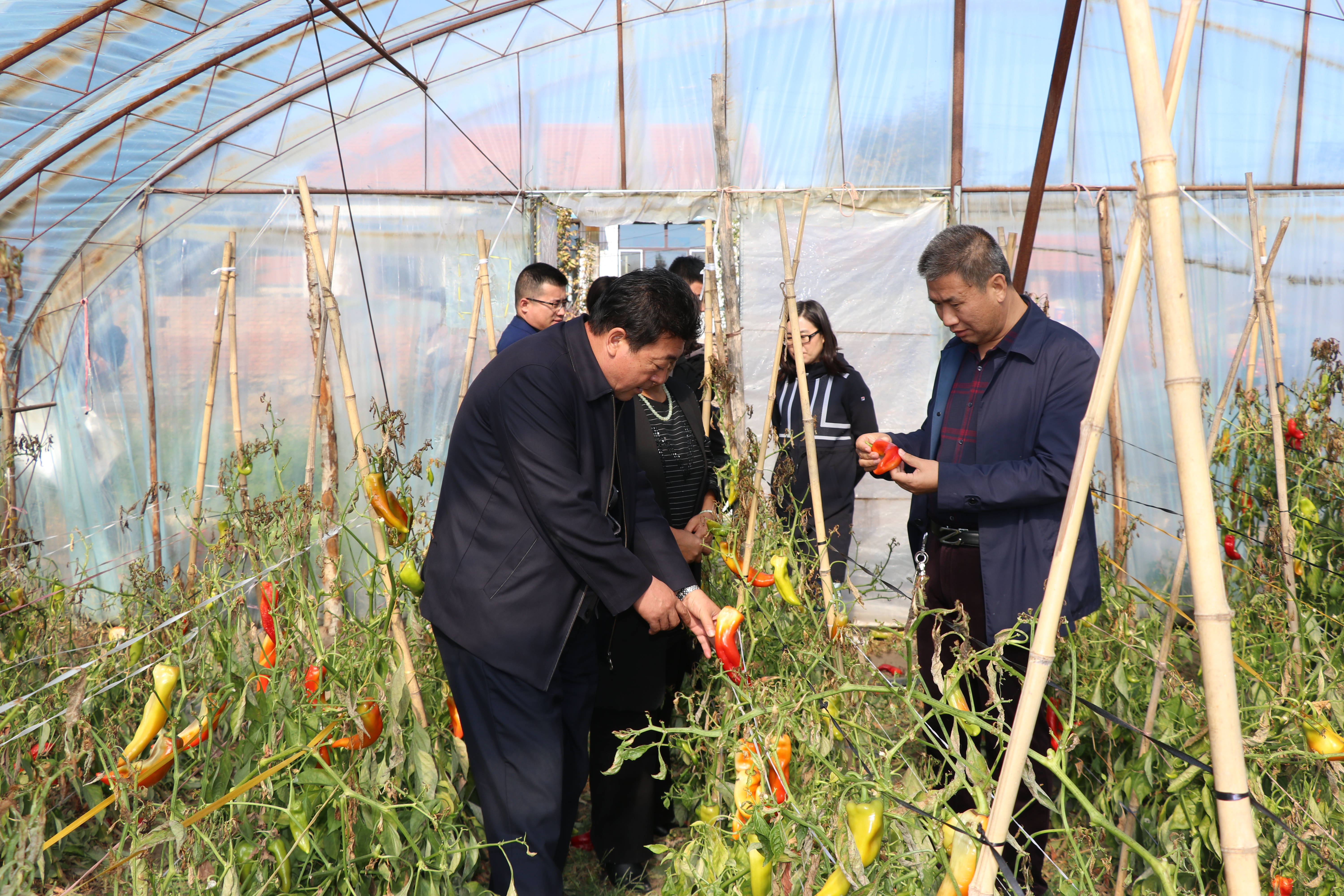 1755824049128970.jpg ÁõÓñÎĶʳ¤µ½Ì«Æ½´åÀ±½·ÖÖÖ²»§¼ÒÖÐ×ß·Ã3.jpg